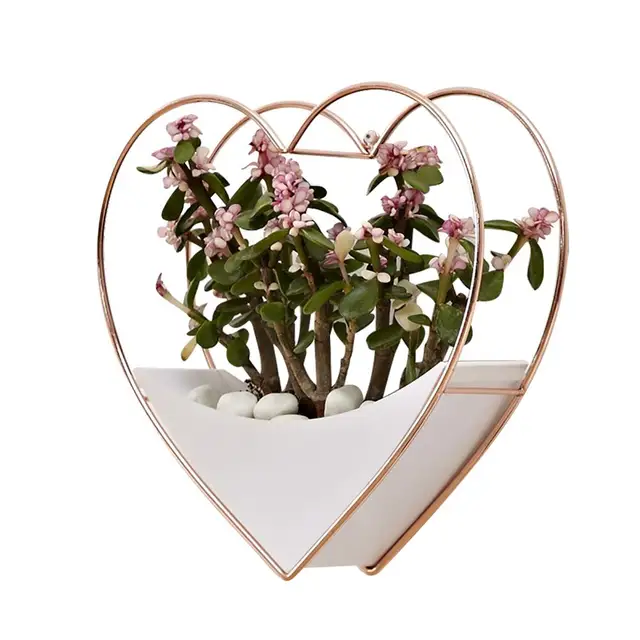 Innovative Flower Pot Wall Hanging Ornament Planter Indoor Outdoor