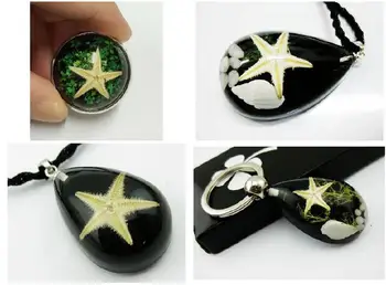 

FREE SHIPPING 4 PCS Real Starfish Resin Keychain Pendant Ring Star Fish Keyring Novel Souvenirs Gift