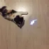 Amazingly Pet Cat Toys LED Pointer light Pen