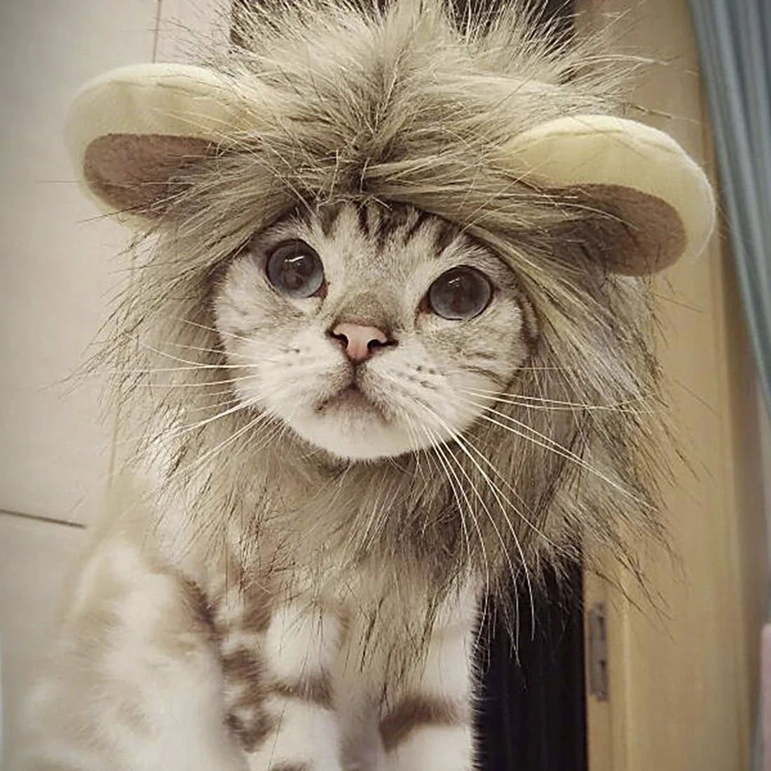 

S/M/L Funny Cute Pet Costume Cosplay Lion Mane Wig Cap Hat Autumn Winter Dress Up Costume Muffler Scarf