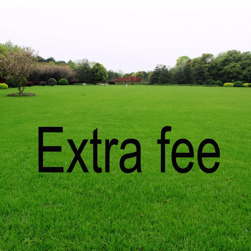 

Extra Fee
