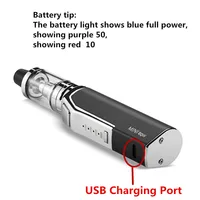 Electronic Cigarettes