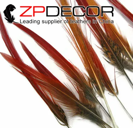 ZPDECOR 4-6 дюймов (10-15 см) 50 высокое качество натуральный Золотой фазан красные