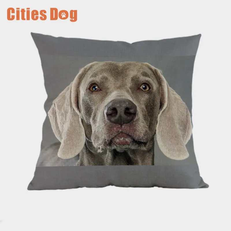 Weimaraner декоративные подушки Чехол для собак cojines размером 45*45 см decoracion с рисунком собак из пледы чехол для подушечки в машину подушки