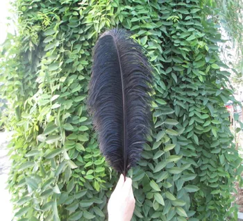 

wholesale hard rods natural 50 pcs/lot 16-18 inch 40-45 cm" black fluffy Ostrich Feather Plume wedding decoration