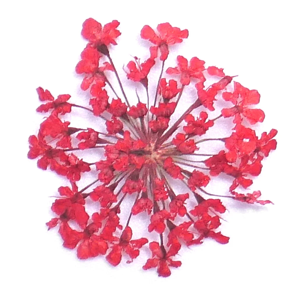 20F#1 сумка смешанные сушеные цветы 3D дизайн ногтей стеклянная бутылка DIY Украшение Цветок Маникюр DIY 001