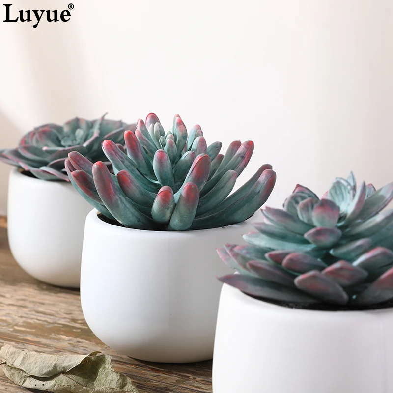 Luyue Balcony Fleshy Garden Vase Artificial Flower Plant Red gray flowers bonsai Noble for Hotel Shop Home balcony decoration Luyue Balcony Fleshy Garden Vase Artificial Flower Plant Red gray flowers bonsai Noble for Hotel Shop Home balcony decoration
