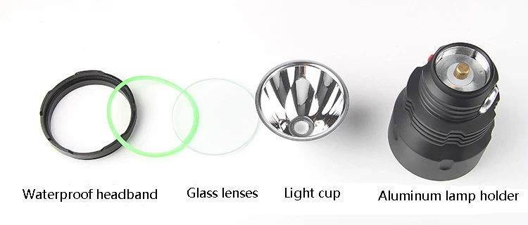 7916576429_555801383