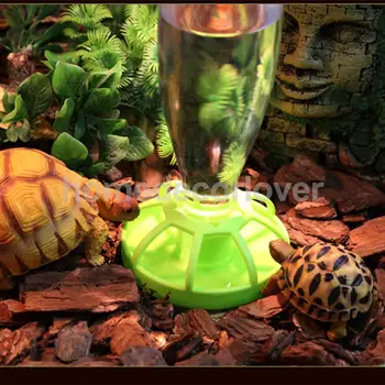 

Reptile Water Drinker Dispenser Food Bowl Lizard Feeder Round Dish Bottle