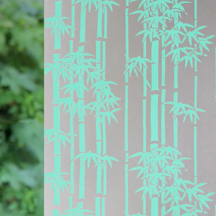 ST30g
