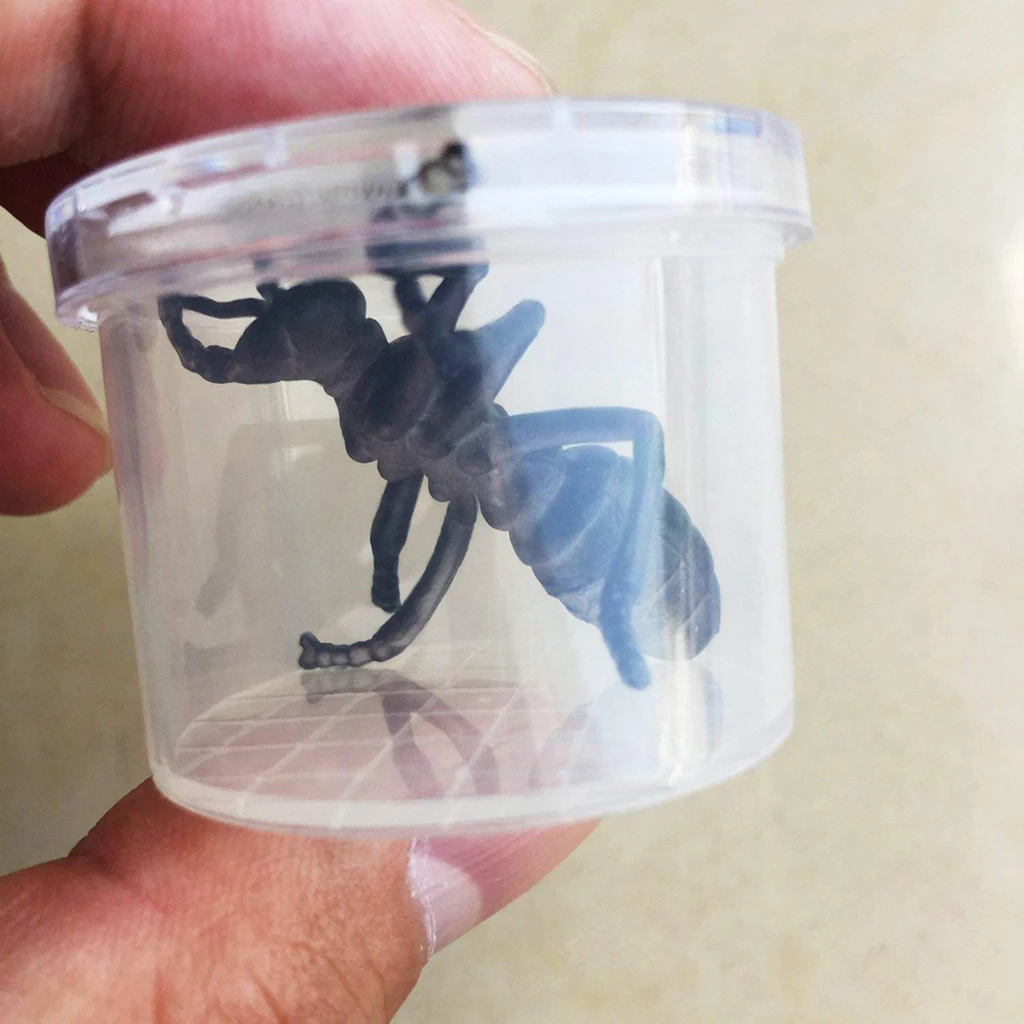 5 pcs Insect Cage Box With Magnifying Top, For Insect Hobby Observation, Kids Children Science Kit Early Development Toy