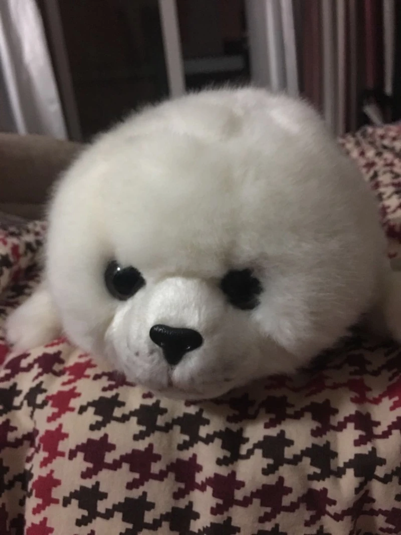 Quality 2 pcs Simulation Animal Seal Plush Toy Super Cute Sea Seal Stuffed Doll for Girlfriends Kids Birthday Holiday Gifts Car Deco DY50562 (2)