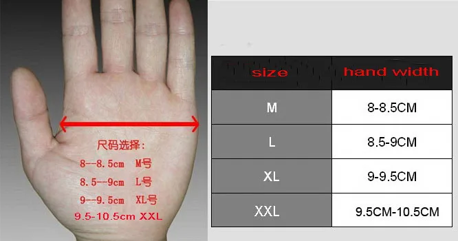 手掌图2