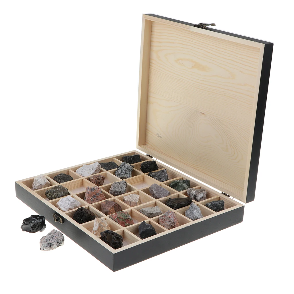 30pcs/Set Rocks and Minerals Collection - Igneous Rock Specimens Geology Earth Science Toy School Teaching Aids Tool