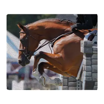 

Over Fences D1389-013 Soft Fleece Throw Blanket, 50"x60" Stadium Blanket Sofa Bed Throw Blanket Kid Adult Warm Blanket