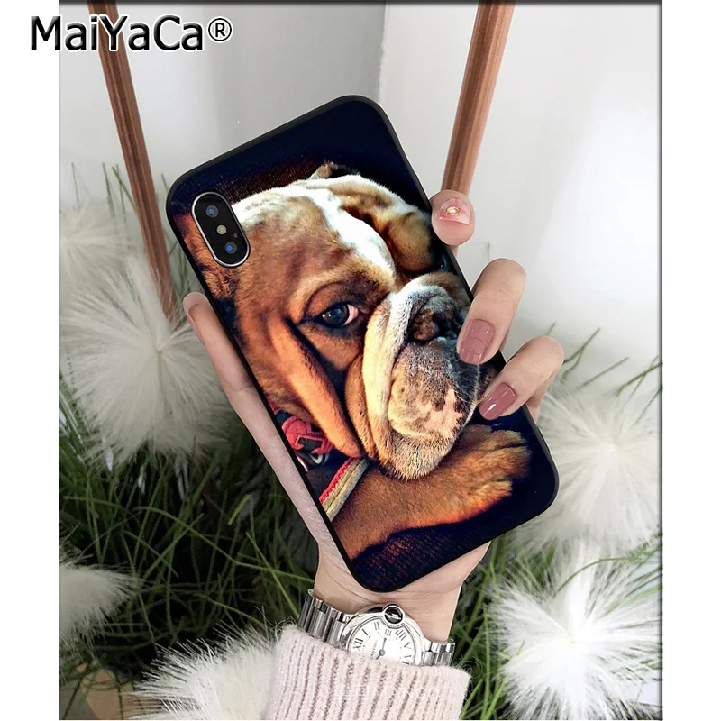 Cute Anime Bulldog