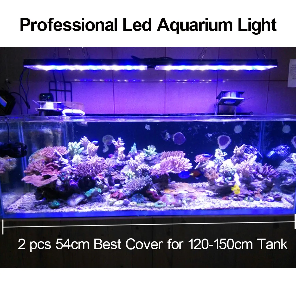 24 96 dimmable led