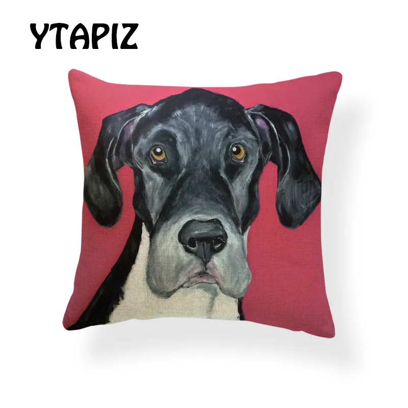 AB9166 (8) Great Dane