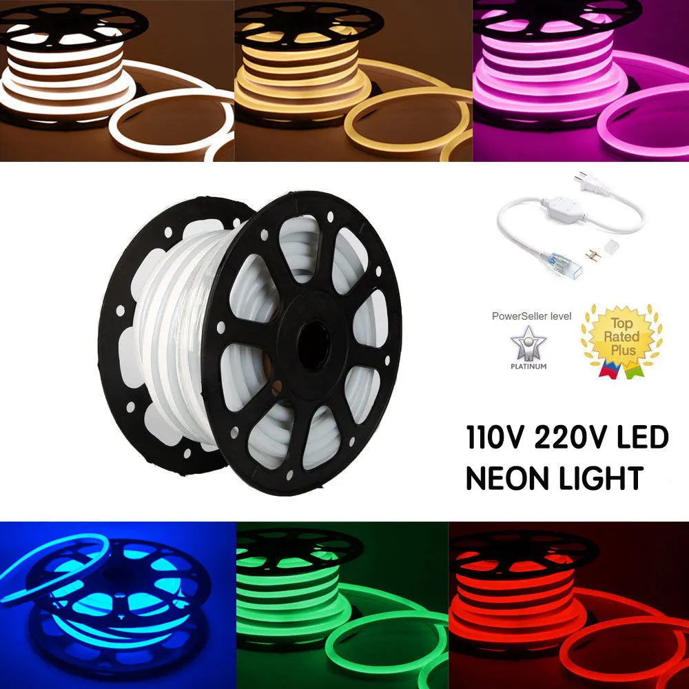 buy BRIDAY 1M 100M 3 #039; 330 #039; 110V 220V Commercial LED Flexible Neon Rope Strip Light Decor Flex Tube Sign WARRANTY 2 YEAR FREE