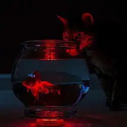 (4 шт./лот) Waterpoof погружной RGB мигающий свет мини-участник лампы Spotlight фонтан света рыбы декоративные чаши Освещение