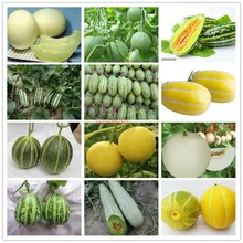 High quality 100 pcs Mixed muskmelon vegetables, potted plants, home garden, easy to grow fruits and vegetables Bonsai melon