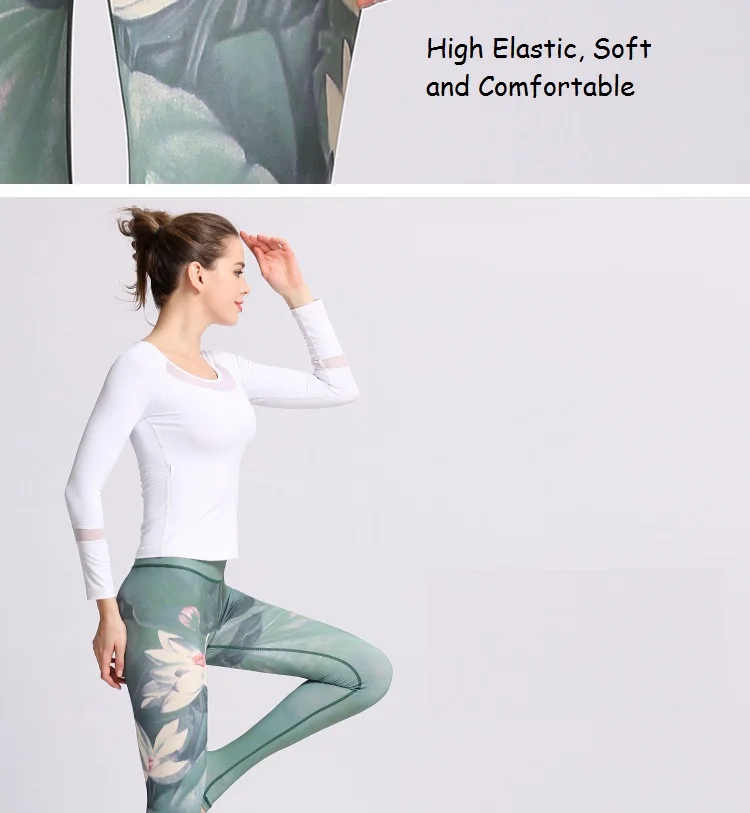 7254397740_931299331