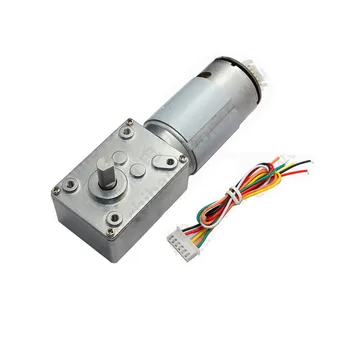 

GW4058-555 Worm Gear Motor with Magnetic Hall Encoder High Torque