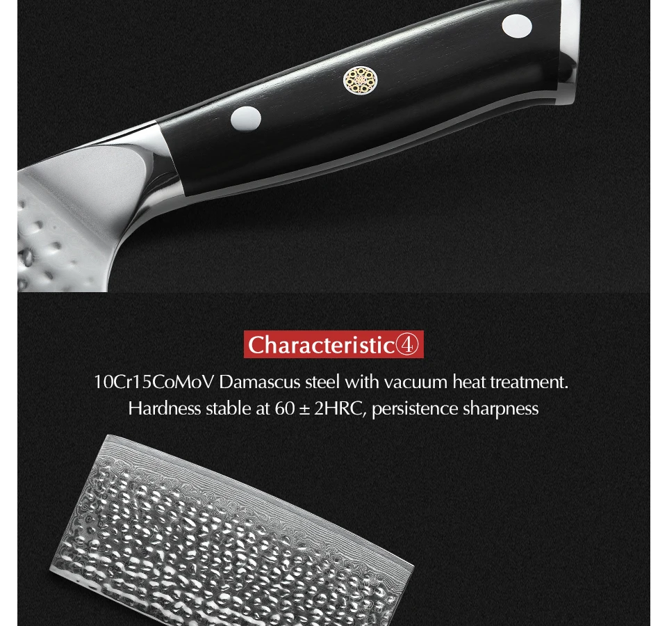 XINZUO 4 шт набор кухонных ножей 67 слоев дамасской стали нож шеф-повара Santoku кухонные ножи из нержавеющей стали столовые приборы