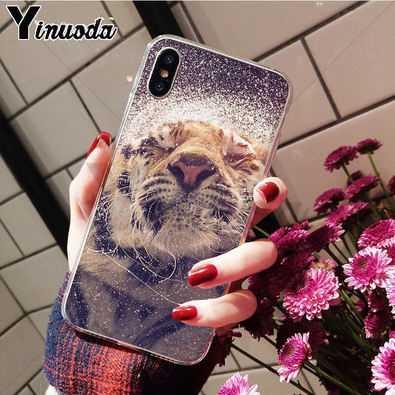 Anime tiger