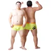 2017 New Arrival Bear Claw Men's Plus Size Boxers Bear Paw Underwear Designed For Gay Bear 6 Colours Free Shipping! M L XL XXL 4