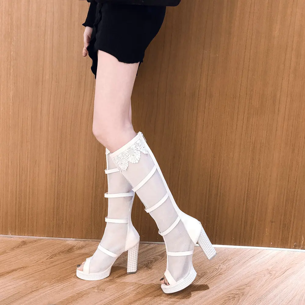 20190217 -M559 (12)