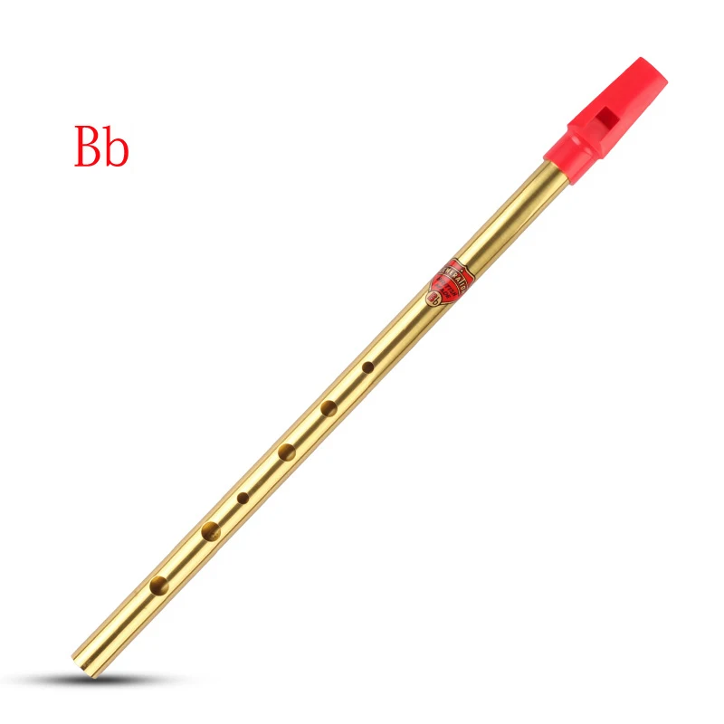 

CENERATION Bb Irish Whistle Tin Whistle Sweet Irish Flute Free Shipping