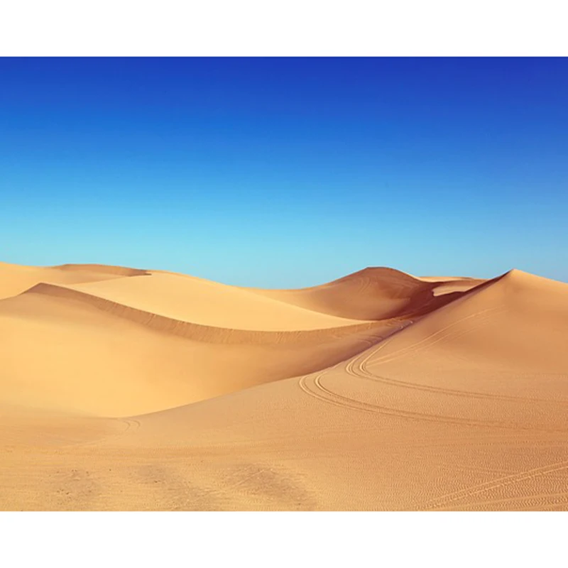 Desert-Dunes-Sand-Dune-Sand-Dunes-Algodones-Dunes-1654439 