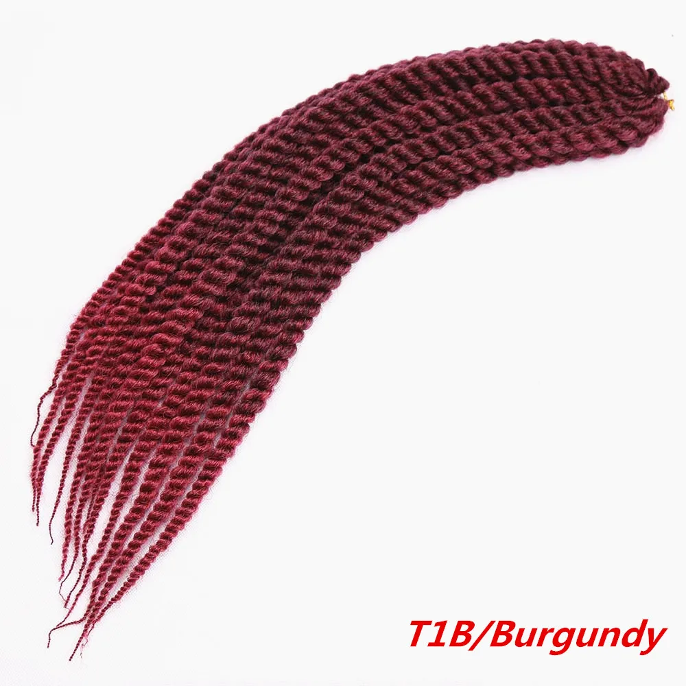 T1B BURG1 3