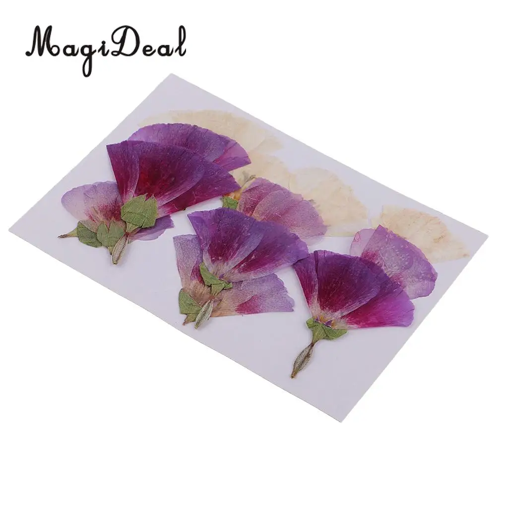 12pcs Beautiful Godetia Real Pressed Natural Dried Flowers for Art Craft Scrapbooking Card Making Resin Jewelry Making Craft DIY