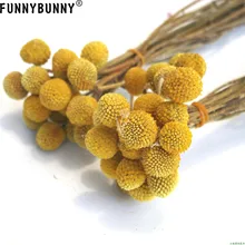 FUNNYBUNNY 5 шт. сушеные Craspedia желтый Billy шарики сушеные цветы для Свадебный букет Декоративный Рождественский венок DIY