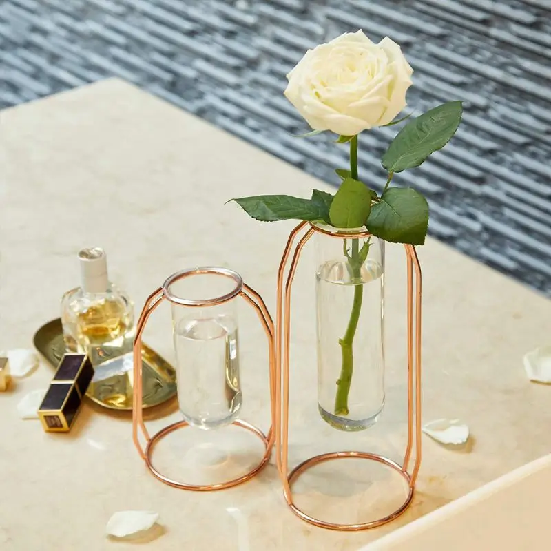Набор ВАЗ из 2 металлических вазы для цветов стеклянные вазы для растений Террариумы вазы золотистого Цвета Стеклянные Цилиндрические вазы для декора