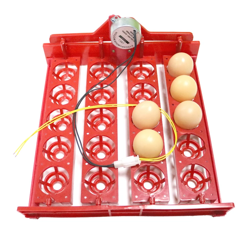 20 Egg Incubator Turn Eggs Tray Eggtester Automatic Incubator Controller Experimental Teaching Equipment