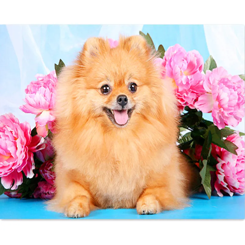 dachshund Full 5D Diy Daimond Painting Cross-stitch Dog&ampFlower 3D Diamond Rhinestones Paintings Embroidery Gifts | Дом и сад