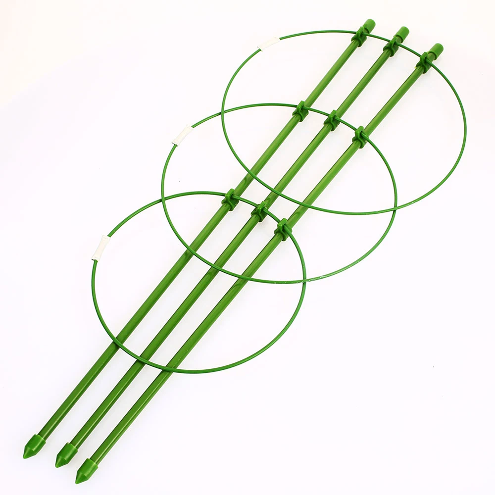 

Plant Support Frame Durable Vegetables Vine Climbing Rack Flower Decorative 60cm Peppers Plant Trellis Diy Tomato Plants