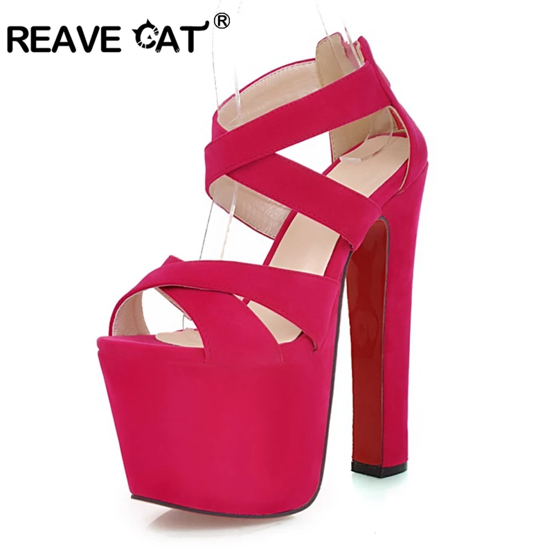 cat with high heels