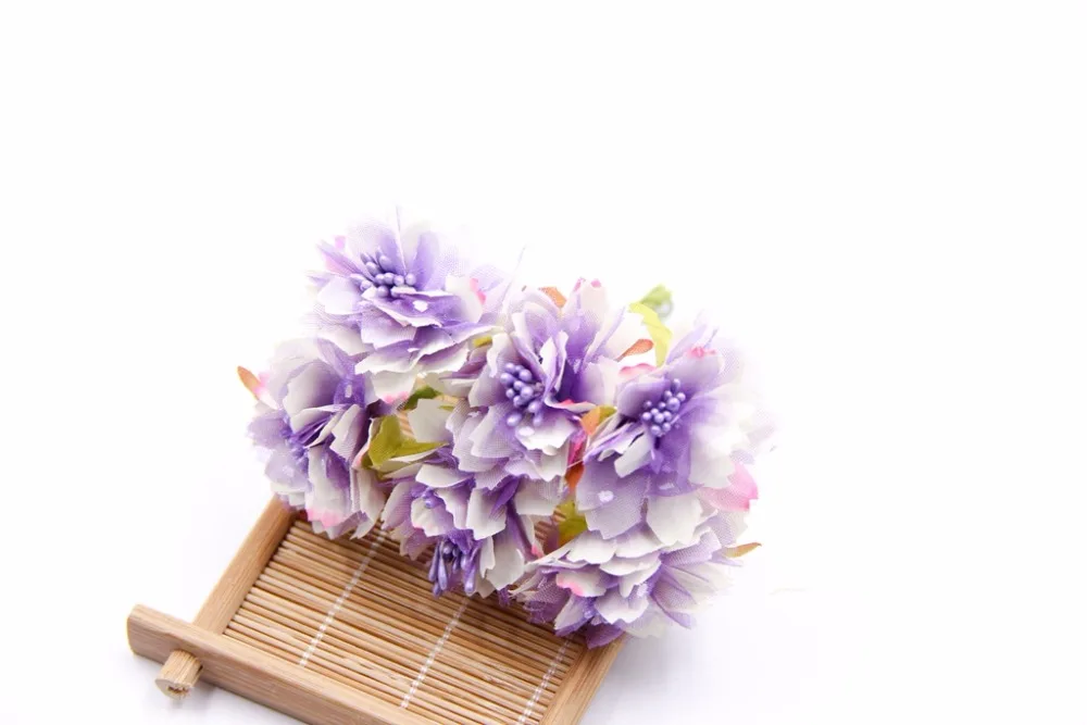 IMG_6776