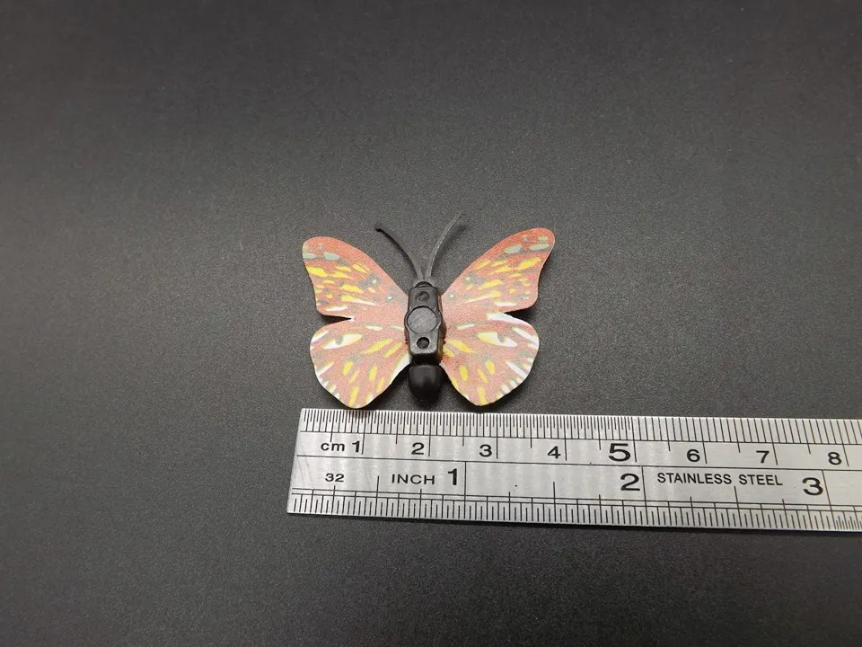 I255-Butterfly (13)