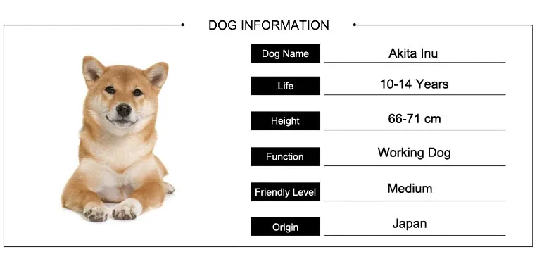 1033