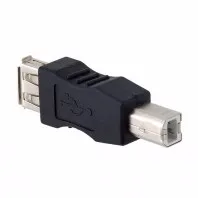 13825028042