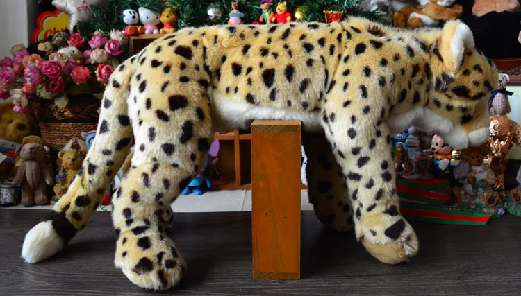 fao cheetah