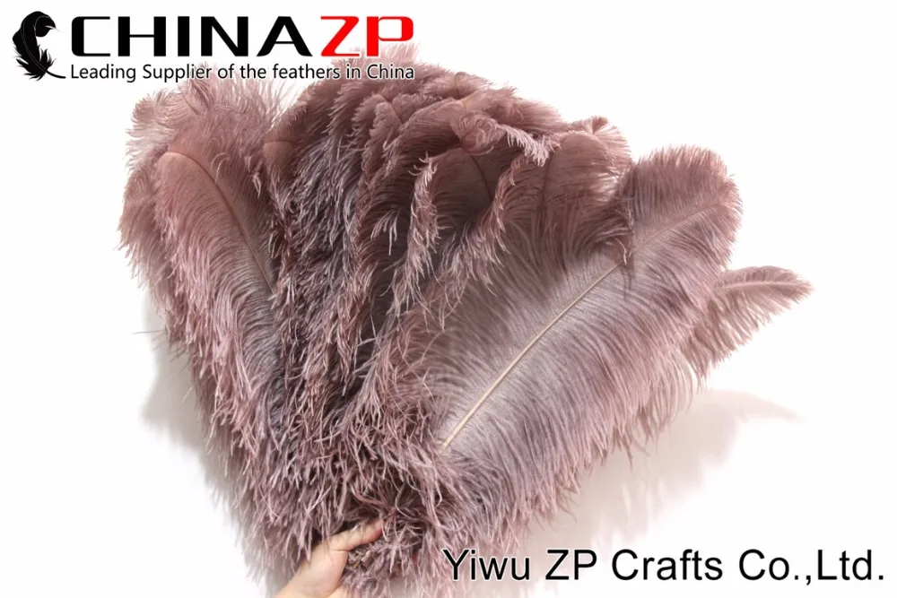 1 PRIME GRADE Large Wing Plumes Wholesale Feathers (bulk) (4)