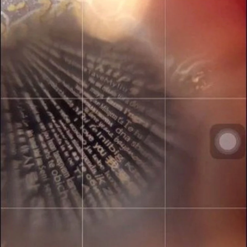 9531941254_427926500