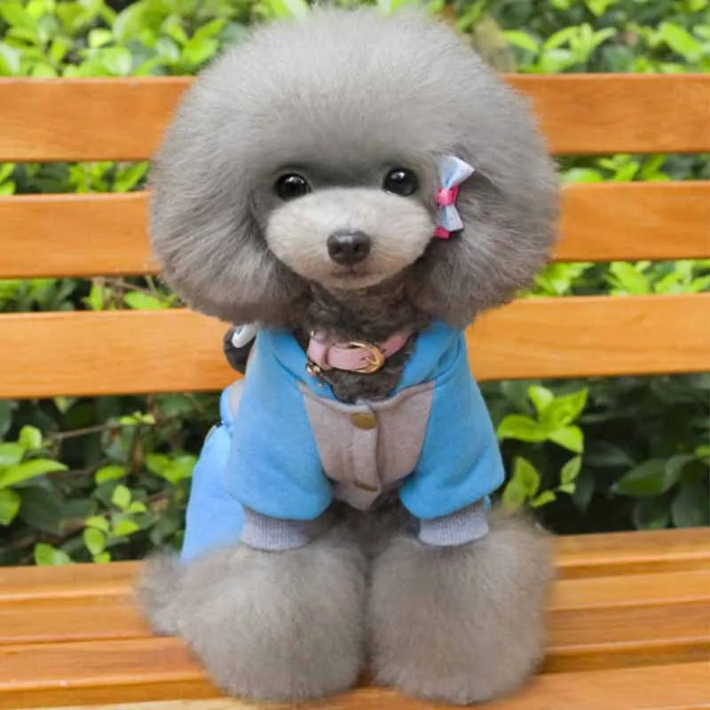 Winter Pet Hoodie Dog Clothes Cartoon Eagle Pet Costume Fleece Puppy Jumpsuit for Dogs S M L XL XXL 3XL Dog Suit Wholesale3