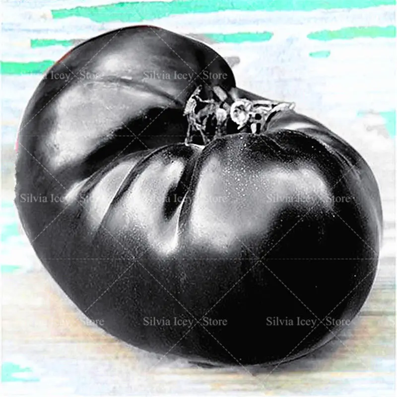 500pcs Black Tomato Bonsai Plants Chinese Gaint Tomatoes for Home Garden Planting Potted Free Shipping High Germination Rate